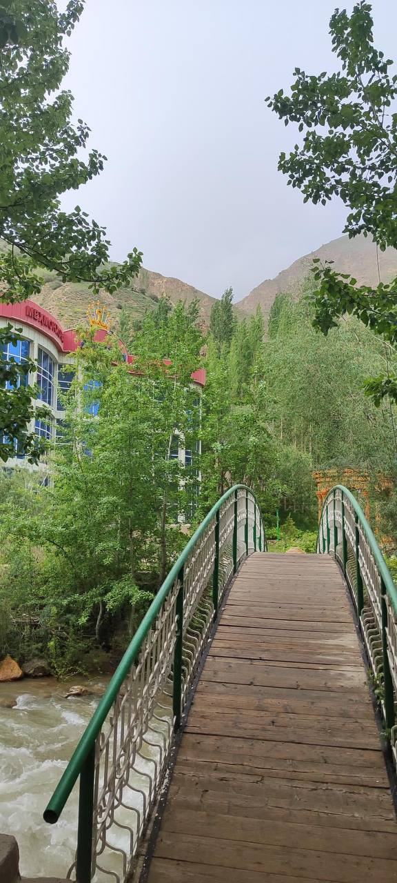 Файл:Photo 5260684430899532427 y.jpg