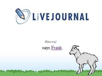 «Жесть!» — сказал Фрэнк