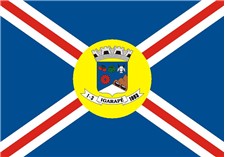 Флаг населённого пункта Игарапе