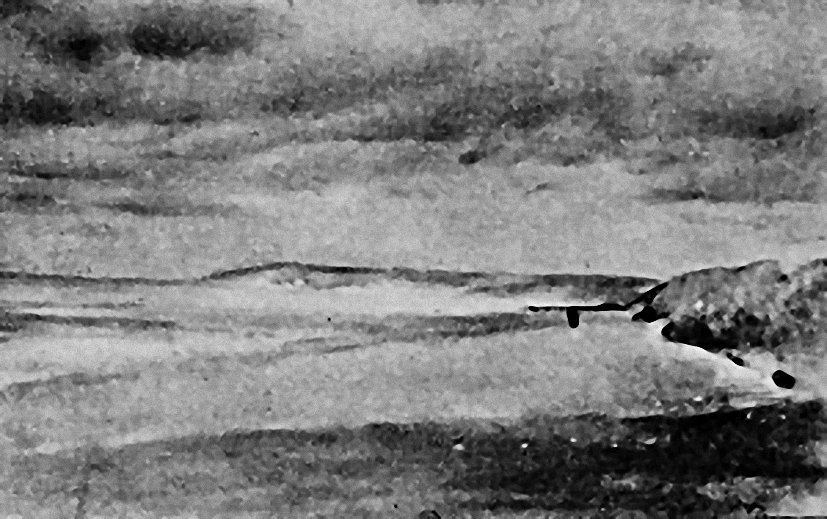 Dunes along the Sea 1905.jpg