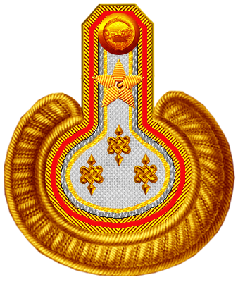 Эполет нестроевого генерал-полковника Монголии