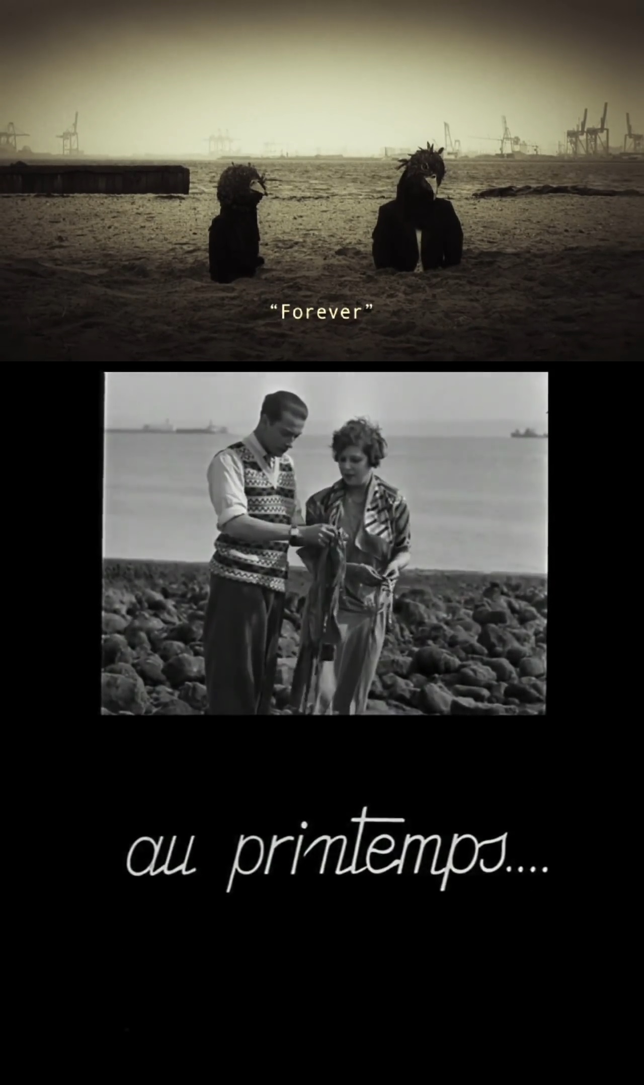 Ещё одна отсылка к «Андалузскому псу» — финальные кадры. Как и «Андалузский пёс», клип «Harmony Korine» заканчивается кадрами мужчины и женщины на берегу океана, после чего на экране появляется надпись «Навеки».