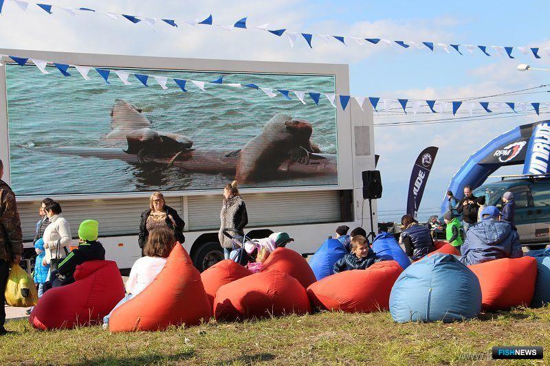 Море жизни2.jpg