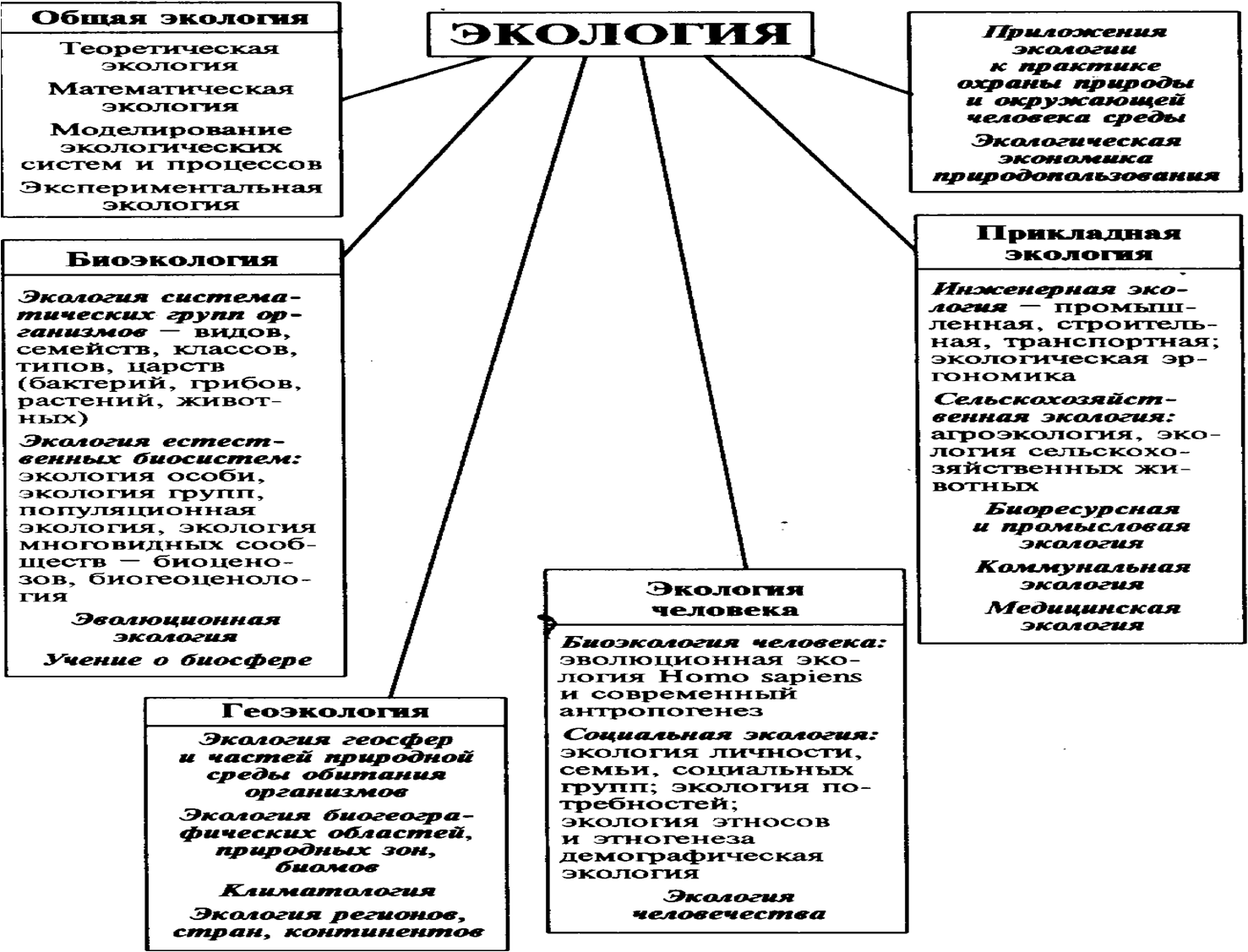 Классификация разделов экологии
