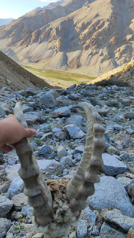 Photo 5260684430899532424 x.jpg