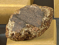 Файл:Kunya-Urgench meteorite small.jpg