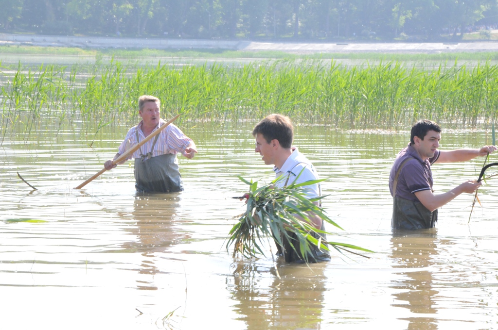 Примар Кишинёва Дорин Киртоакэ на работах по очистке озера, 2012 год