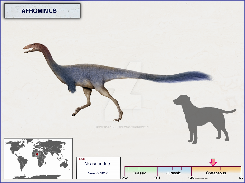 Afromimus by cisiopurple-dbyfqea.png