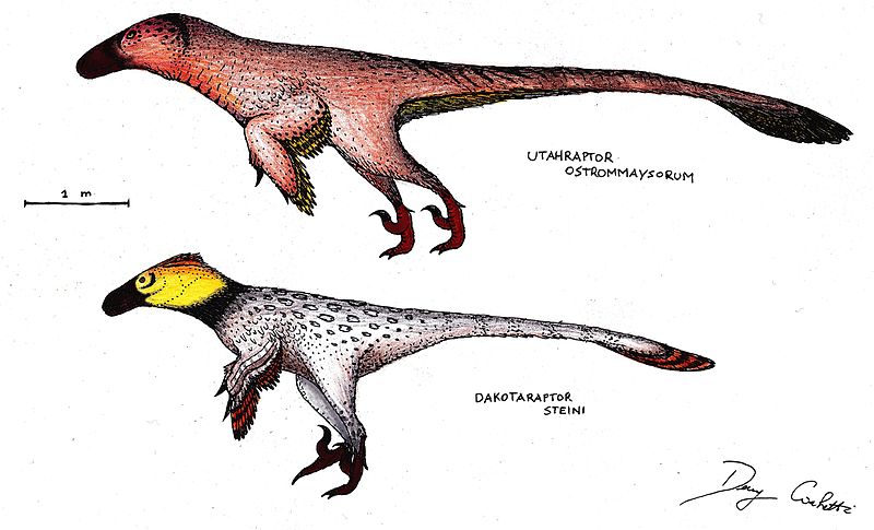 Dakotaraptor and Utahraptor.jpg
