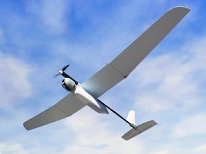 Файл:Elbit Skylark Slovak Air Force.jpg