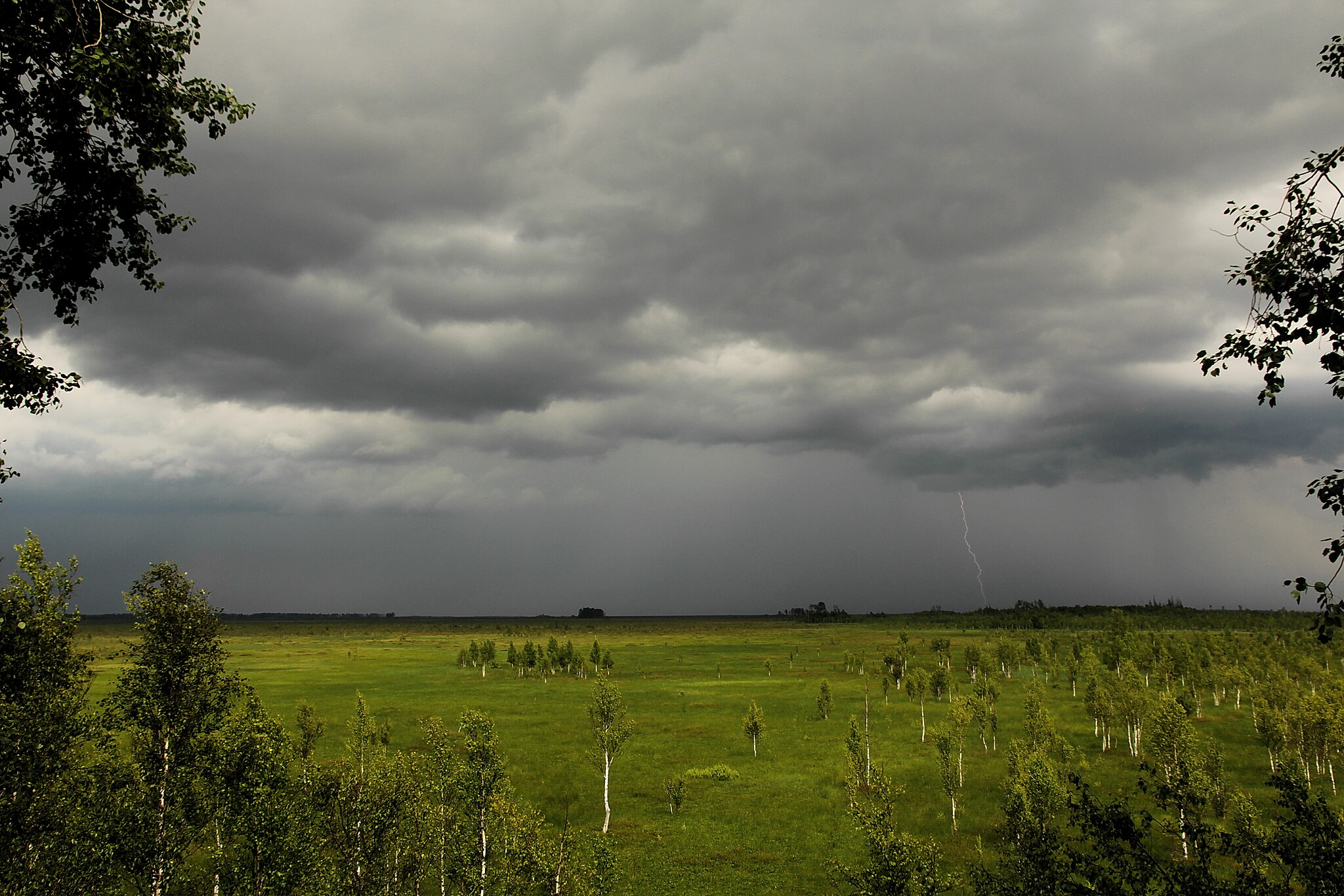 Полистовский заповедник