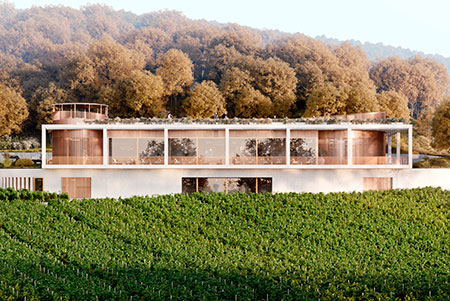 AYA I organic wine & vineyards.jpg