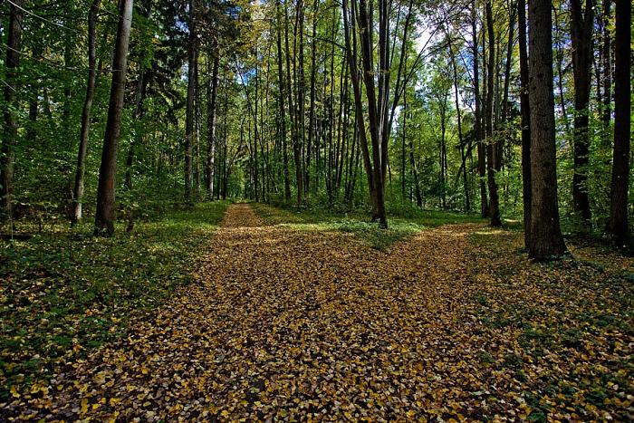 Nikolskoe Gagarino49 big.jpg