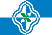 Flag of Rodnikovsky rayon (Ivanovo oblast).png