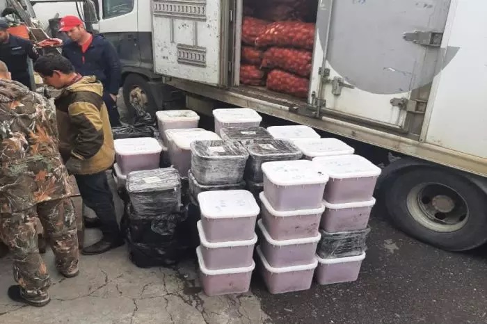 Икра, которую пытались провезти под мешками с картофелем