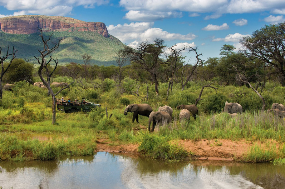Транснациональный парк Лимпопо. Самый большой в мире.