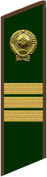 Младший советник финансовой службы 1 ранга