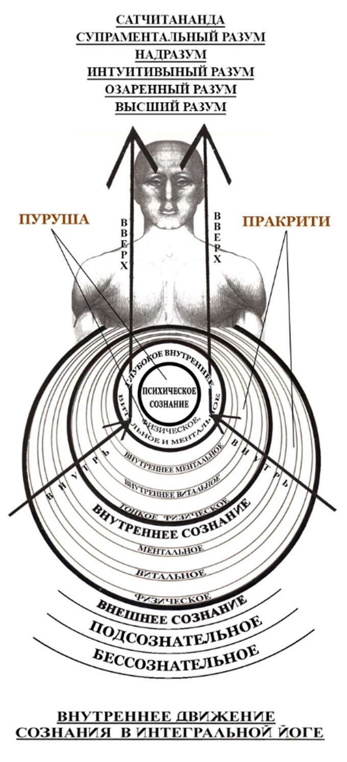 Структура психики человека в Пурна Йоге Шри Ауробиндо.4.jpg