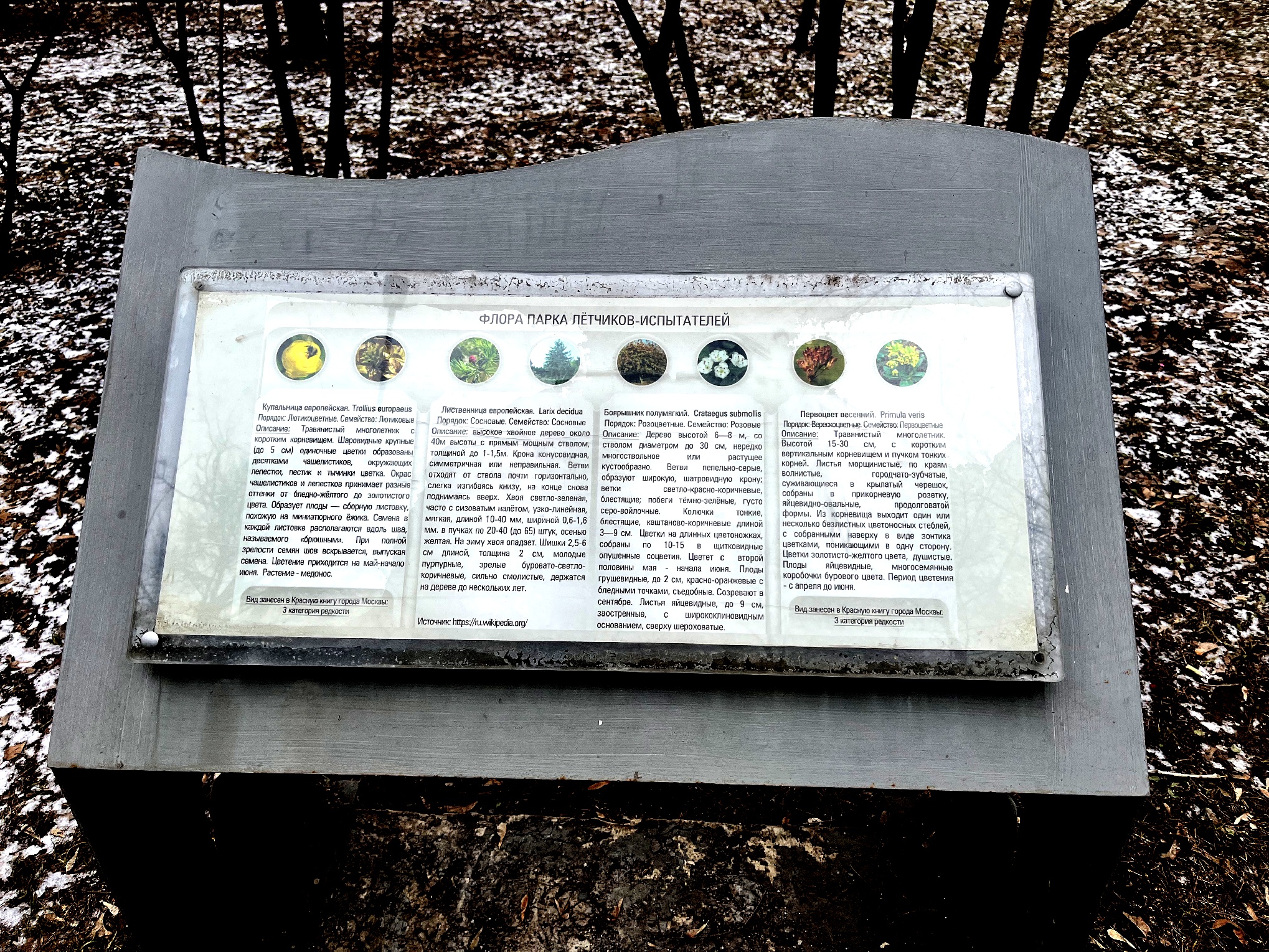 Информационные стенды в Парке Лётчиков. 2025 год