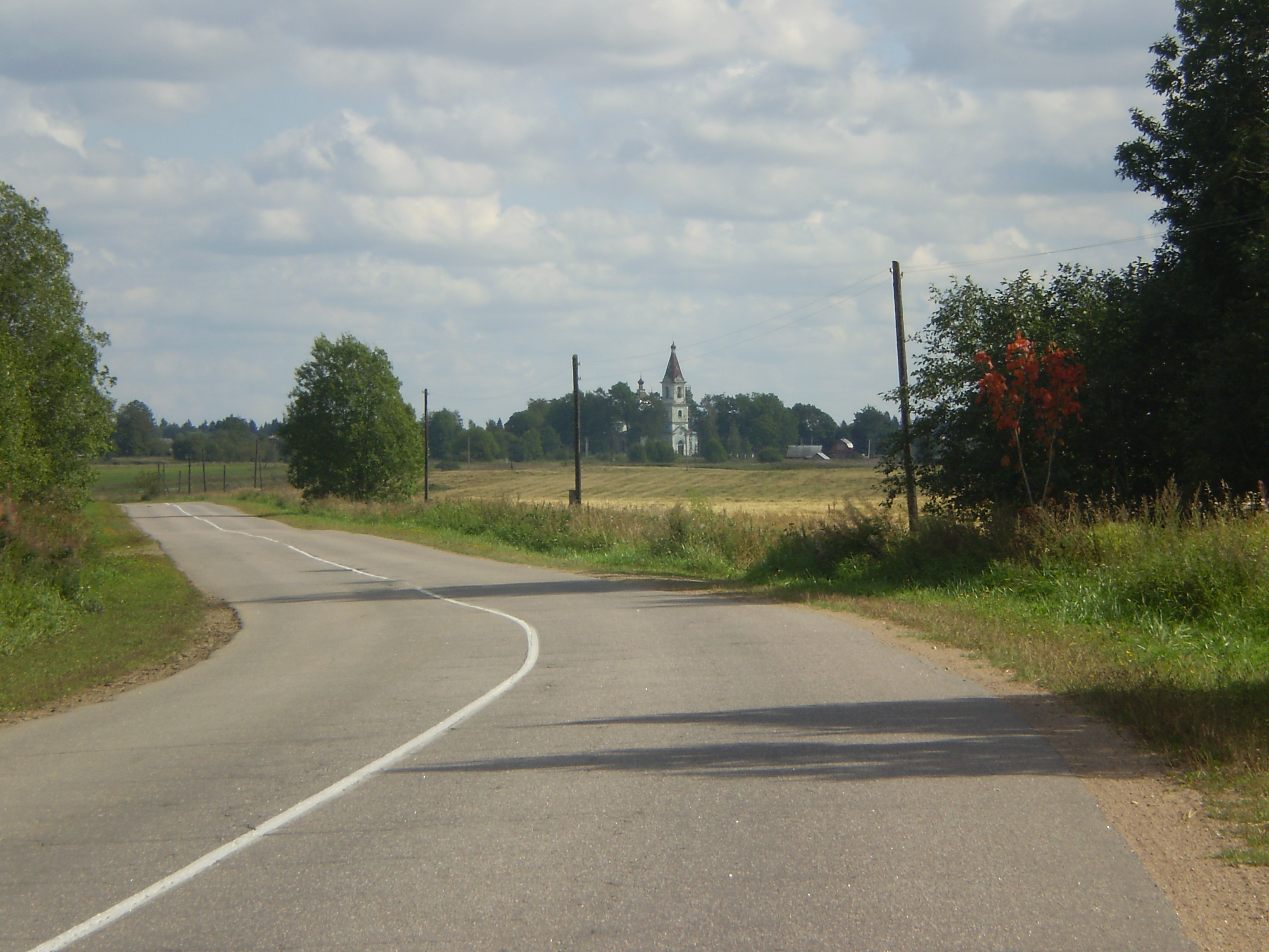 Дорога у дер. Ильеши.