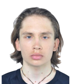 Файл:Никита Андреевич Цветков.png