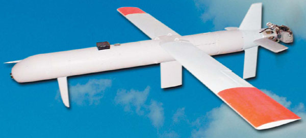 Файл:Sparrow 1.jpg