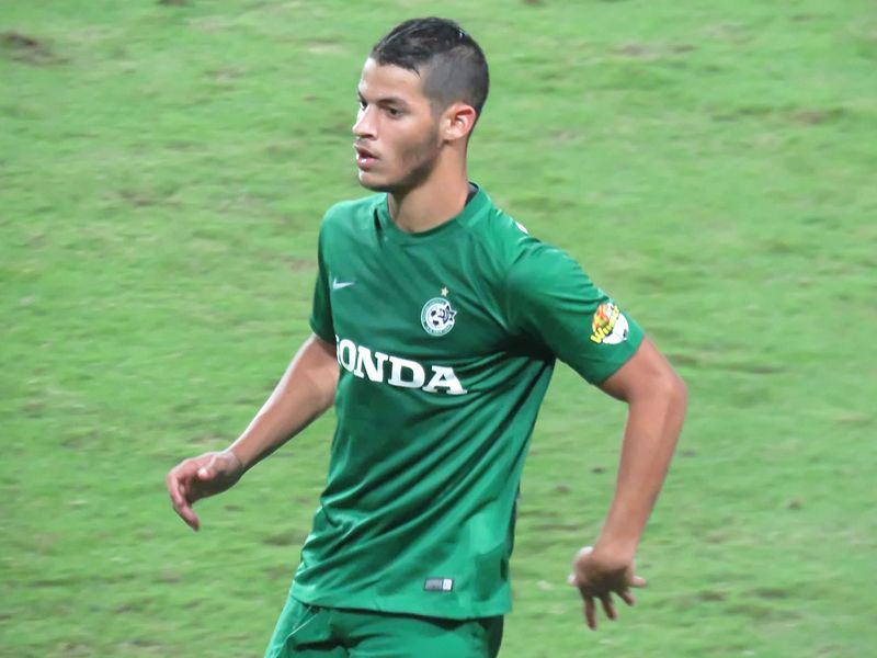 Файл:Sun Menahem (2).jpg