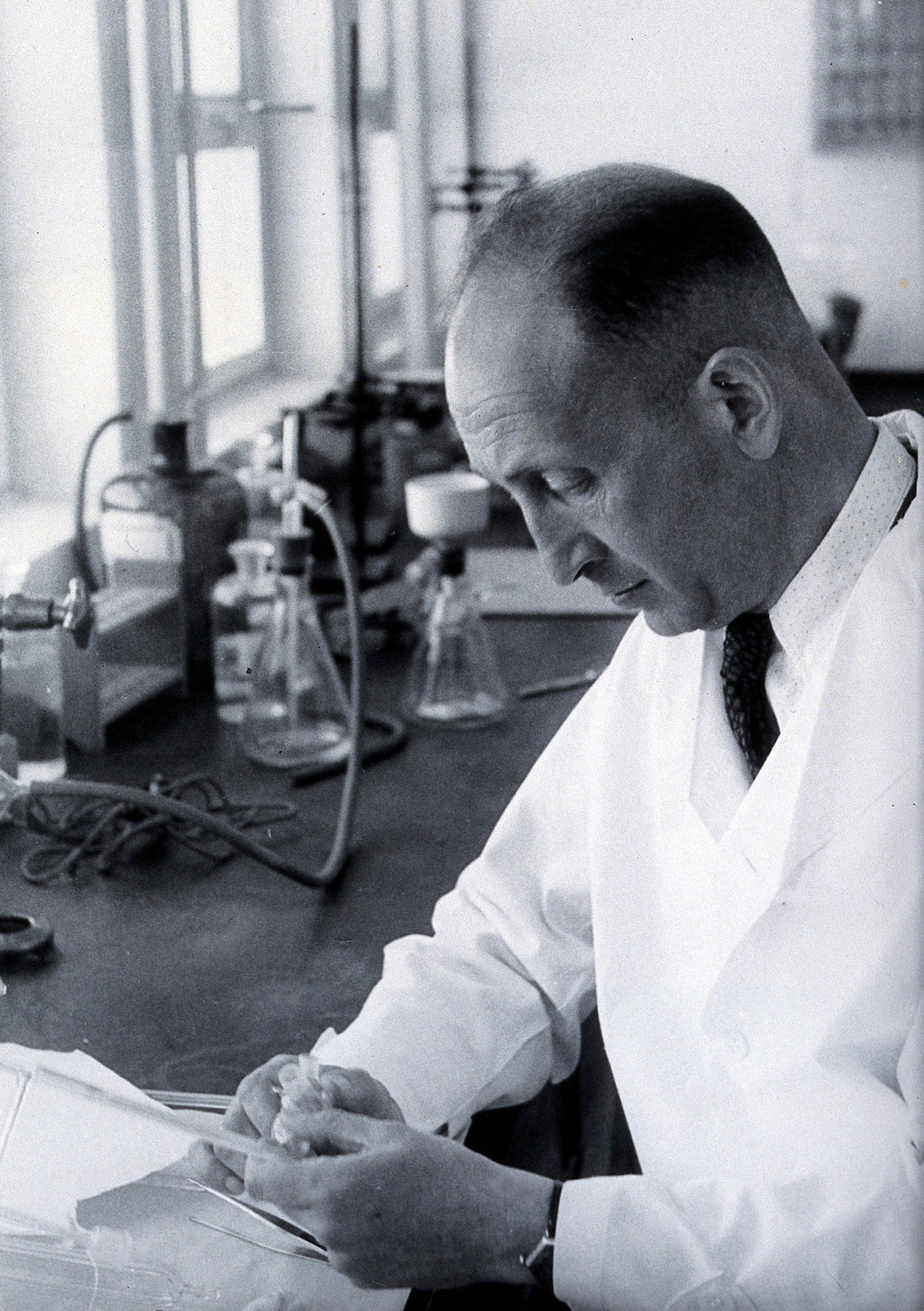 Картинка с гуглуDefault.jpg