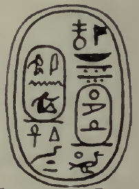 Рисунок Флиндерса Питри, изображающий скарабей фараона Мерхотепра Ини. Музей египетской археологии Питри