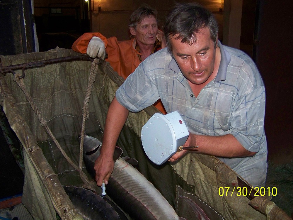 Кизанский ОРЗ12.jpg