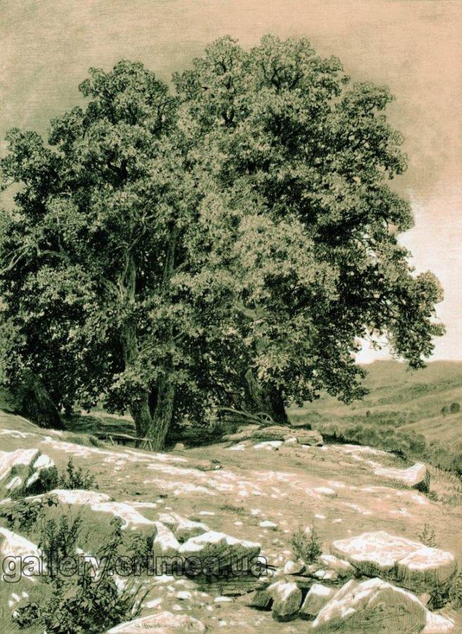 Крымские орешины. 1884