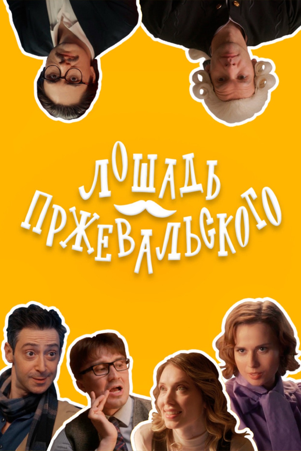Лошадь Пржевальского (сериал).jpg