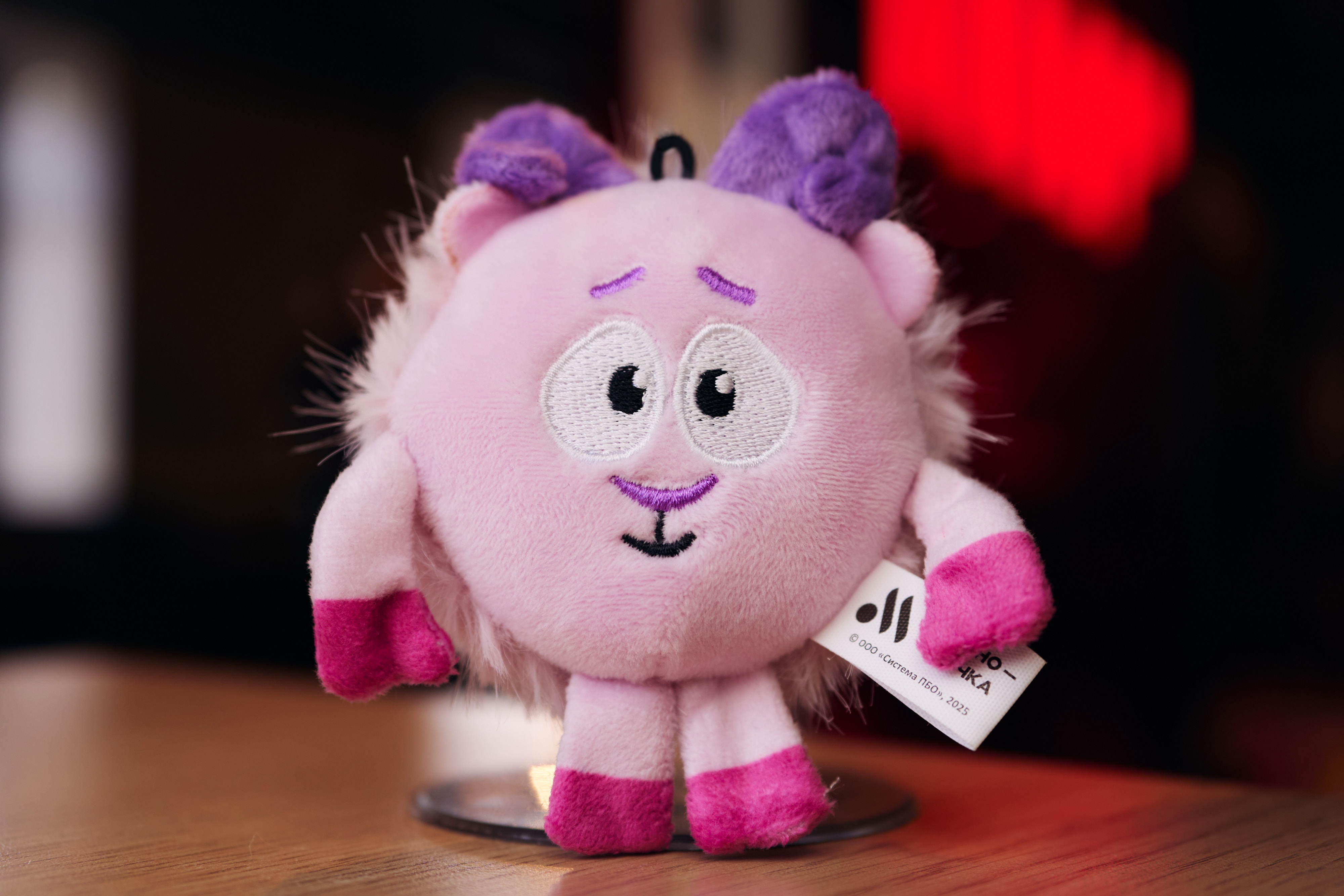 Смешарики в Кидз Комбо (3).jpg