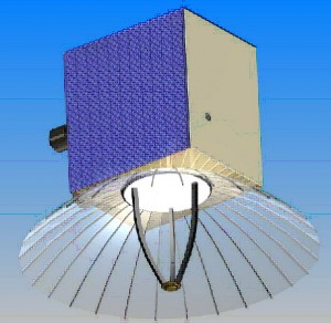 HAMSTER 2-300x292.jpg