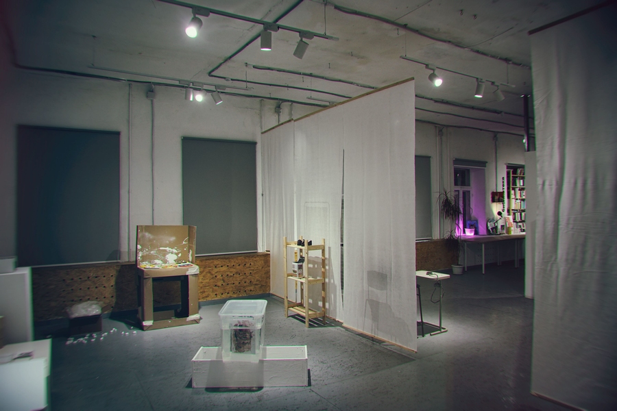 Файл:Нулевая комната.jpg