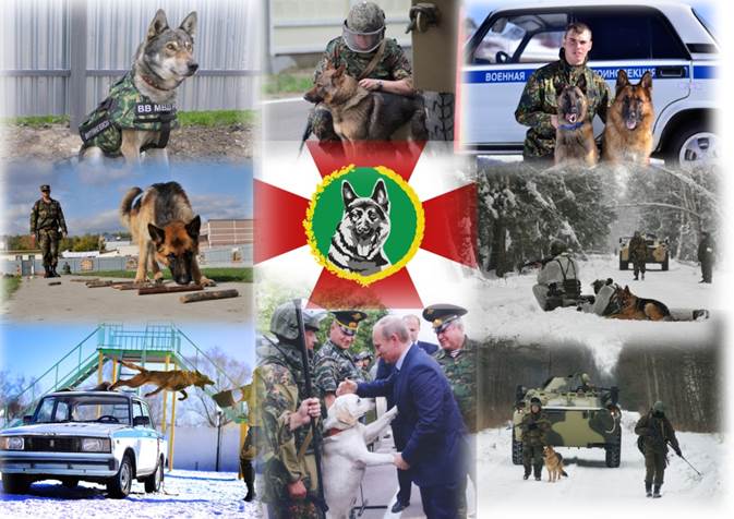 Фотоколлаж ОДОН.jpg