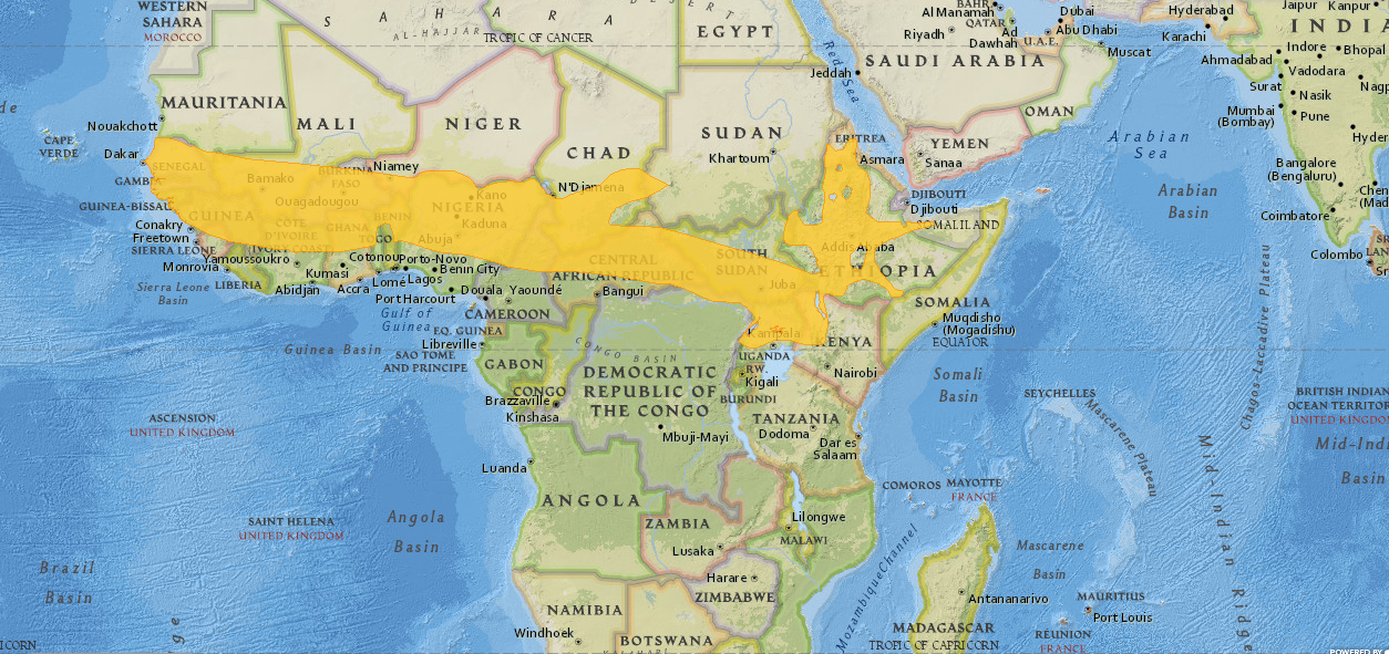 Ареал распространения