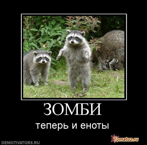 Зомби Еноты.jpg