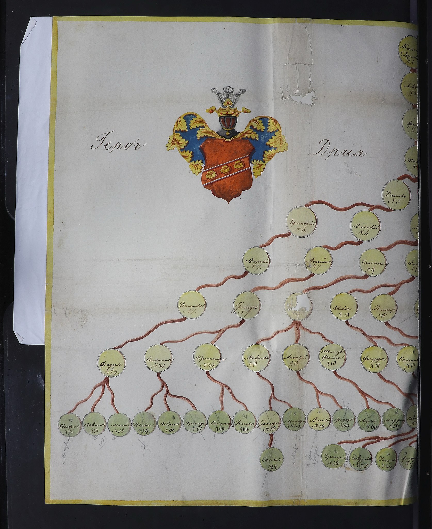 Genealogia Dzikowickich 2.jpg