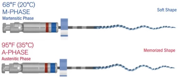 XP-endo Shaper 2.jpg