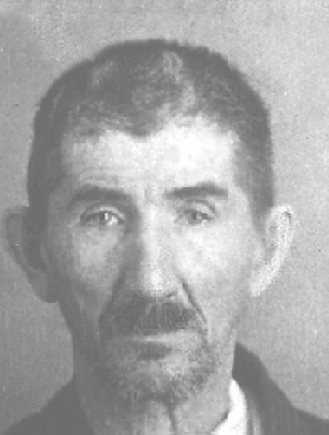 Я. Д. Ленцман