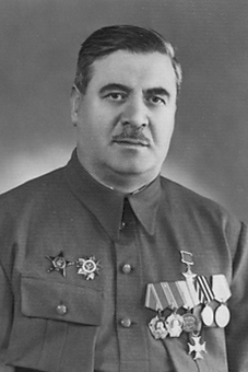 Бакрадзе Давид Ильич.jpg