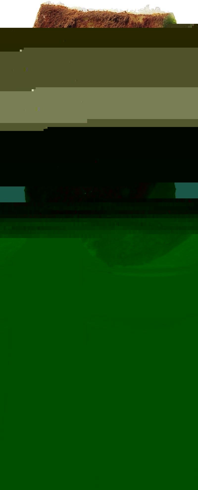 Файл:Ванила торноувер шутер (коктейль).jpg