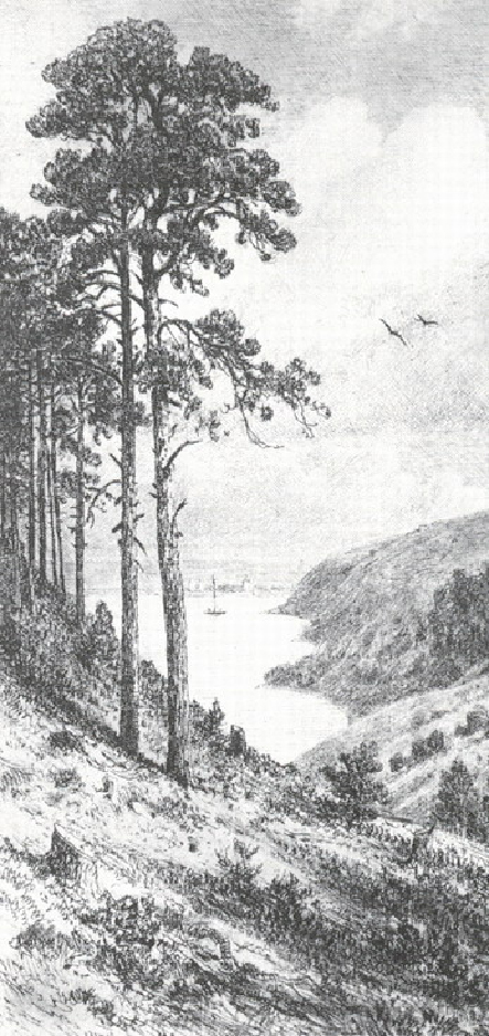 На Каме близ Елабуги. 1885