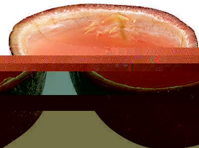 Файл:Эндорфан (коктейль).jpg