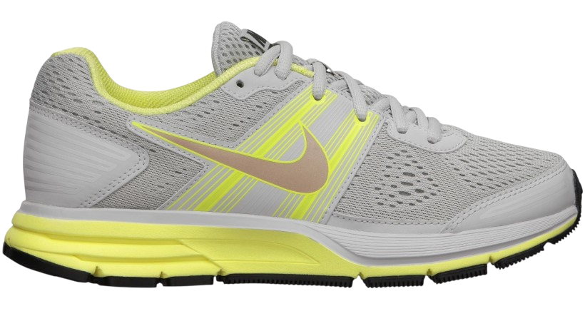 Nike Air Pegasus+ 29.png