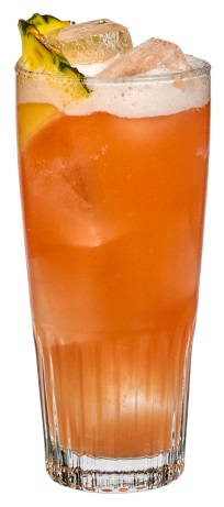 Файл:Солёная Птичка (коктейль).jpg