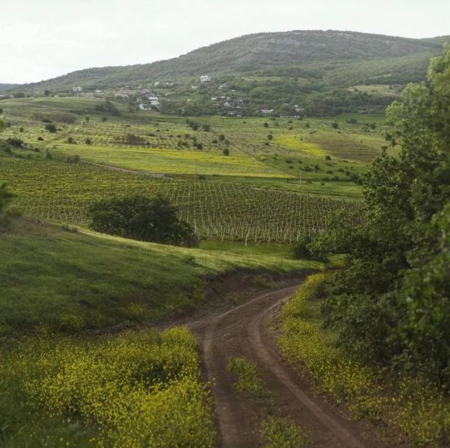 Файл:Loco Cimbali Winery.jpg
