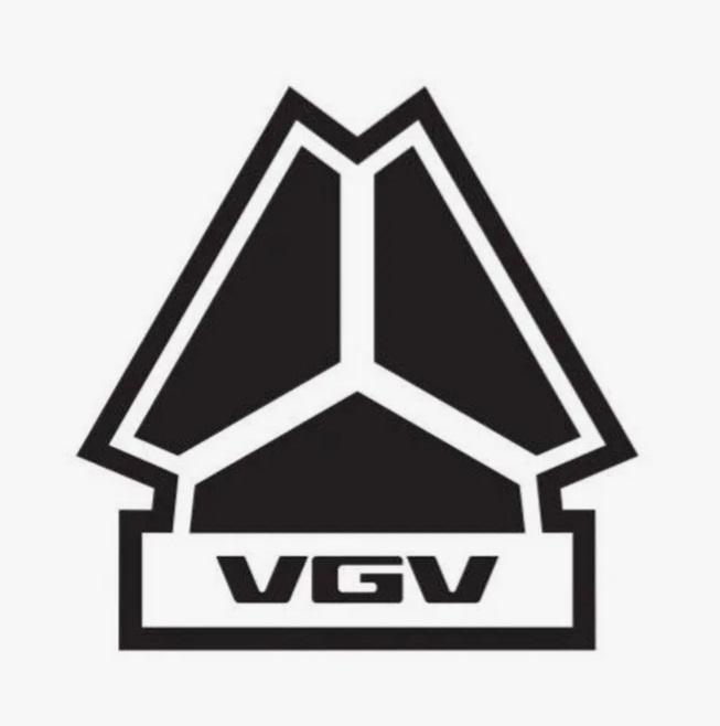 Логотип компании vgv.jpg