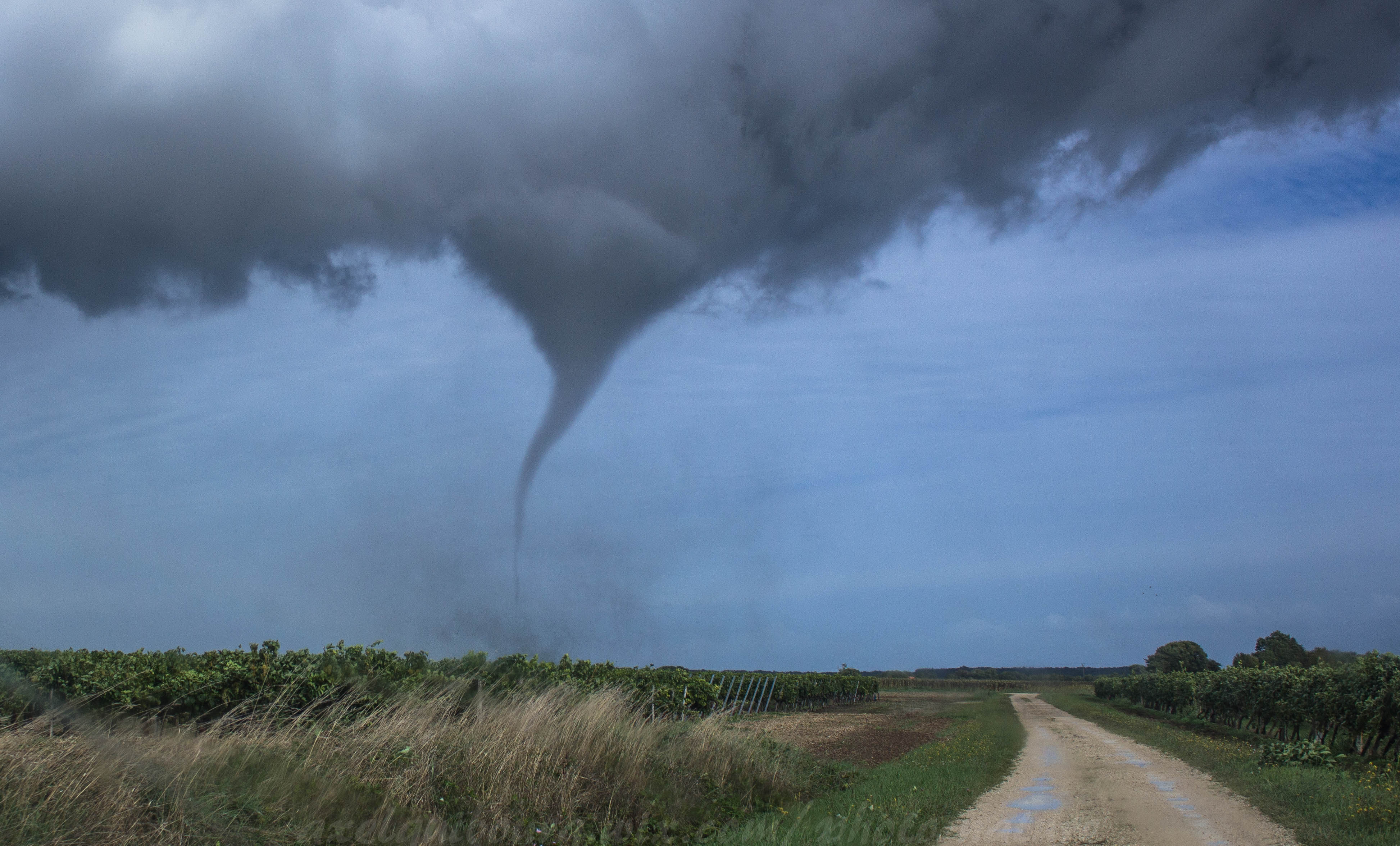 Файл:Funnel Cloud.jpg